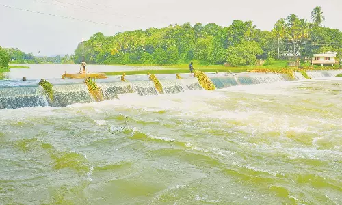 தொடர்மழை எதிரொலியாக பேச்சிப்பாறை-பெருஞ்சாணி அணைகளுக்கு நீர்வரத்து அதிகரிப்பு