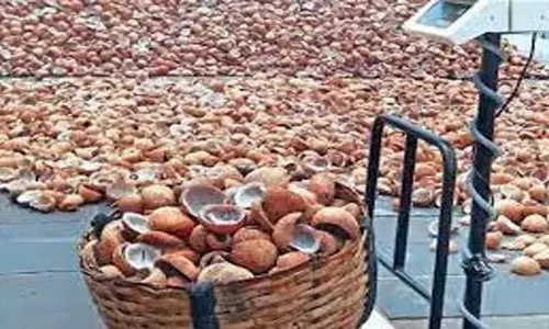 வெங்கமேடு தேசிய வேளாண்மை சந்தையில் ரூ.3 லட்சத்து 88 ஆயிரத்திற்கு தேங்காய் பருப்பு ஏலம்