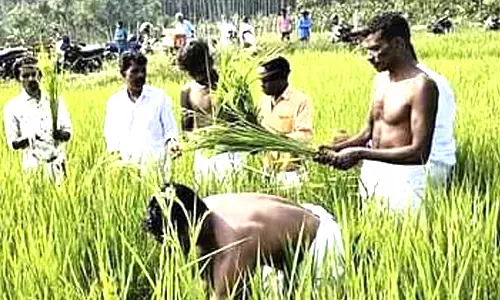 கூடலூரில் பழங்குடி மக்களின் புத்தரி திருவிழா