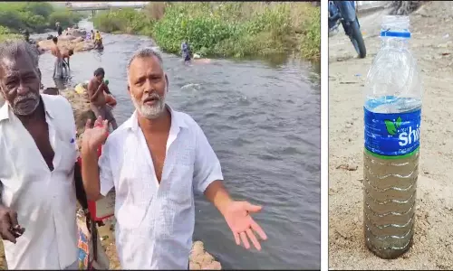 நெல்லை மேலநத்தம் பகுதியில் தாமிரபரணி ஆற்றில் கலந்த சாக்கடை நீர்