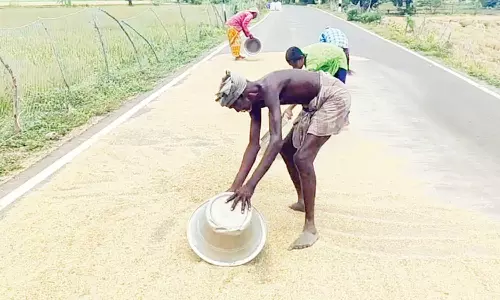 மழையால் நனைந்த நெல்லை உலர வைக்கும் விவசாயிகள்