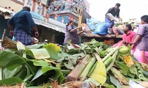 காங்கயம் நகராட்சியில் 16 டன் குப்பைகள் அகற்றம்