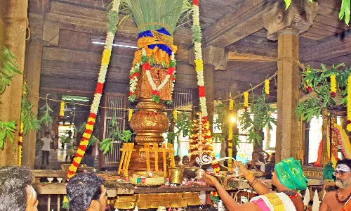 நெல்லையப்பர் கோவிலில் ஐப்பசி திருக்கல்யாண திருவிழா கொடியேற்றம்- திரளான பக்தர்கள் தரிசனம்