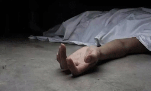 தலையில் அடிபட்டு சிகிச்சை பெற்று வந்த பெண் சாவு