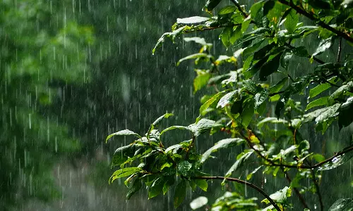 நெல்லை, தென்காசி, தூத்துக்குடி மாவட்டங்களில் அதிகாலையில் இடி- மின்னலுடன் பரவலாக மழை