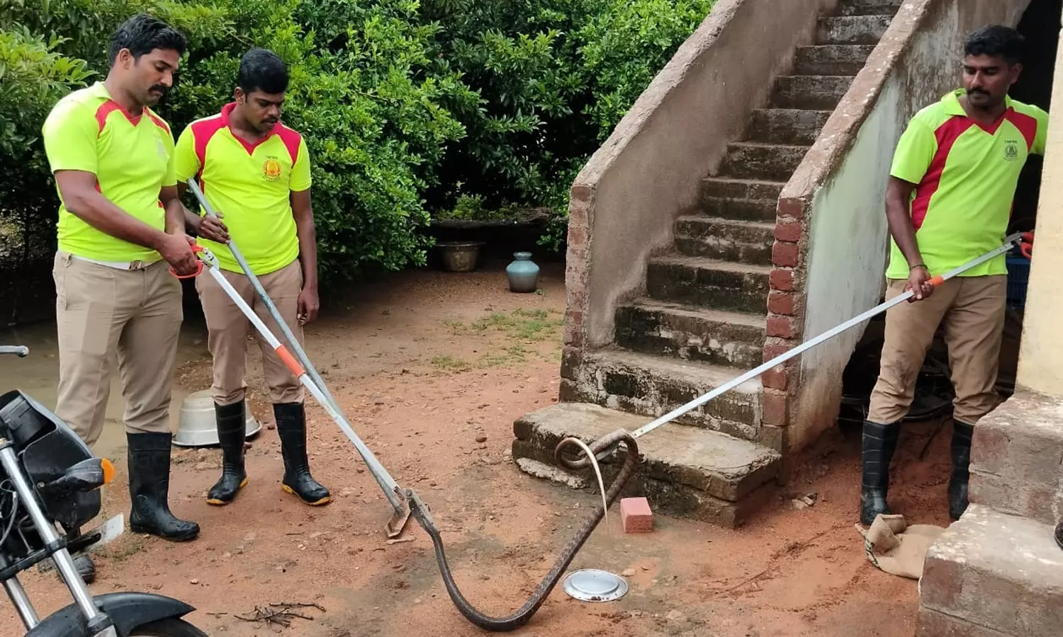 நத்தம் அருகே வீடுகளுக்குள் புகுந்த நல்லபாம்புகள் நத்தம் அருகே வீடுகளுக்குள் புகுந்த நல்லபாம்புகள்