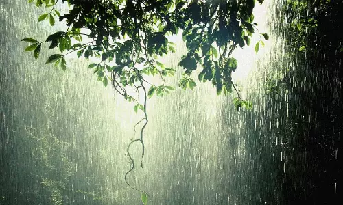 சூறைக்காற்றுடன் கொட்டி தீர்த்த கனமழை: மரங்கள் முறிந்து விழுந்ததால் போக்குவரத்து வாய்ப்பு