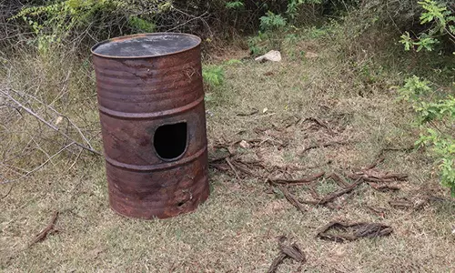 திருத்தணி அருகே தமிழக எல்லையில் சராயம் காய்ச்சி விற்கும் ஆந்திரா கும்பல்