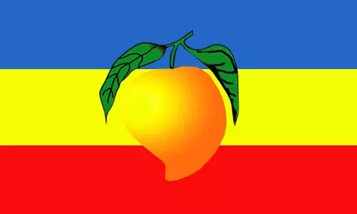 கும்மிடிப்பூண்டியில் பா. ம. க. பொதுக்குழு கூட்டம்