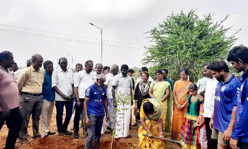 ஆலங்குளம் அரசு மகளிர் கல்லூரியில் மரக்கன்றுகள் நடும் விழா