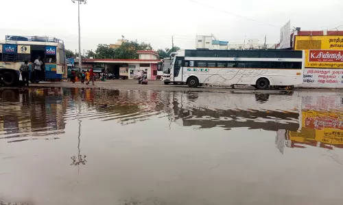 திருச்செந்தூர் சுற்றுவட்டாரத்தில் விடிய, விடிய மழை - விவசாயிகள் மகிழ்ச்சி