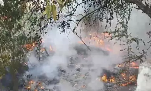 உக்கடம் மீன்மார்க்கெட் பகுதியில் திடீர் தீ விபத்து