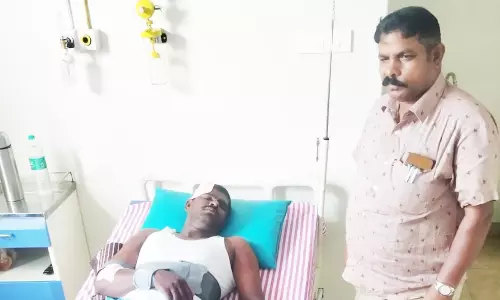 ஊராட்சி மன்ற துணைத்தலைவர் காட்டெருமை தாக்கி படுகாயம்