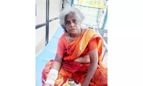 சென்னை ரெயிலில் மூதாட்டியை கத்தியால் வெட்டி நகை பறிப்பு