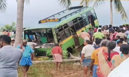 ஸ்ரீவில்லிபுத்தூர் அருகே மினி பேருந்து கவிழ்ந்து விபத்து- 2 பள்ளி மாணவர்கள் பலி