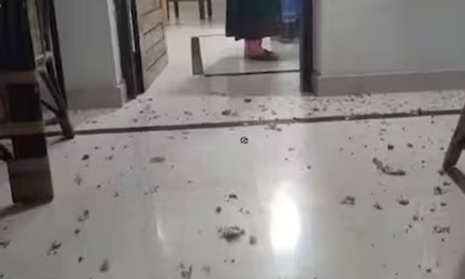 திருவனந்தபுரத்தில் வீடுகள் மீது குண்டு வீச்சு: 2 பேர் காயம்