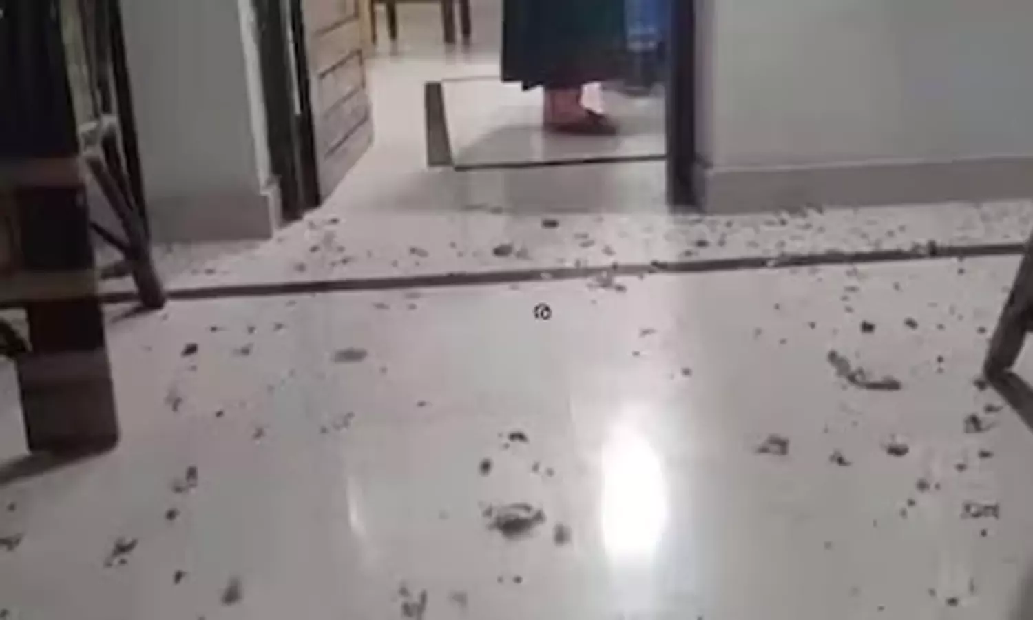 திருவனந்தபுரத்தில் வீடுகள் மீது குண்டு வீச்சு: 2 பேர் காயம்