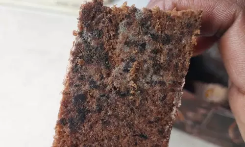 பேக்கரியில் குழந்தைகளுக்கு சாப்பிட வாங்கிய கேக்கில் புழுக்கள்: வாடிக்கையாளர் அதிர்ச்சி