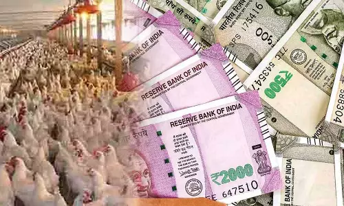 இறைச்சி கடையில் மொத்த கொள்முதலாக சிக்கன் வாங்கி ரூ.47.37 லட்சம் மோசடி- சென்னை வாலிபர் மீது வழக்கு