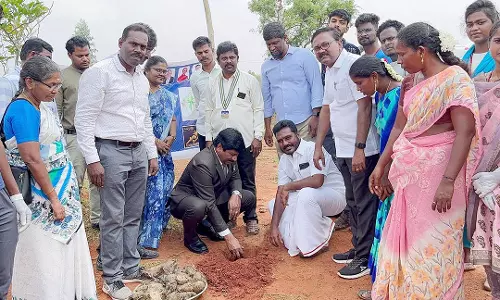 ஐம்பது ஆயிரம் பனைமர விதைகளை நட்டு சாதனை