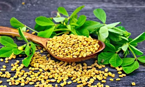 பருக்களை குறைக்கும் வெந்தயம்