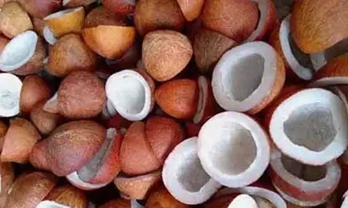 காங்கயம் ஒழுங்குமுறை விற்பனைக்கூடத்தில்  ரூ.74 ஆயிரத்திற்கு  தேங்காய் பருப்பு ஏலம்