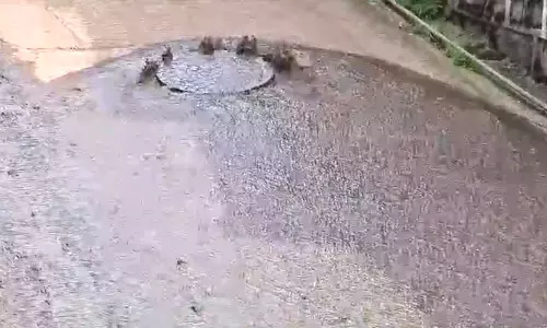 ஊட்டி மெரிலஸ் அப்பர் பஜாரில் சாலையில் வழிந்தோடும் கழிவுநீர்