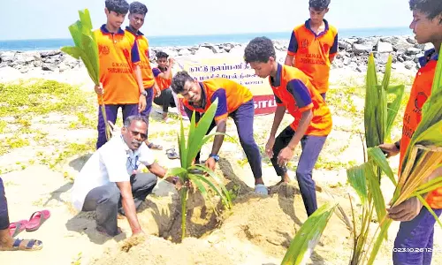 தென்னங்கன்றுகள் நடும் விழா