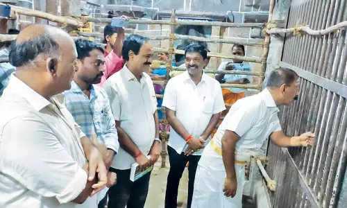 சீர்காழி சட்டைநாதர் கோவிலில் முன்னாள் ஐ.ஜி. சாமி தரிசனம்