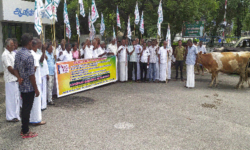 பால் உற்பத்தியாளர்கள் சங்கத்தினர் கறவை மாடுகளுடன் ஆர்ப்பாட்டம்