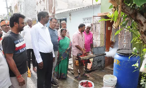 திண்டுக்கல்லில் வீடு வீடாக சென்று டெங்கு விழிப்புணர்வு தீவிரம்