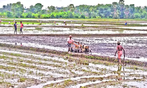 மேற்கு தொடர்ச்சி மலைப்பகுதியில் தொடரும் மழை: கடனா அணை நீர்மட்டம் மேலும் 1 அடி அதிகரிப்பு