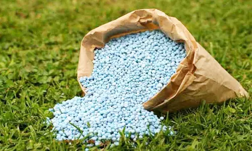 கூடுதல் விலைக்கு உரம் விற்பனை செய்தால் நடவடிக்கை