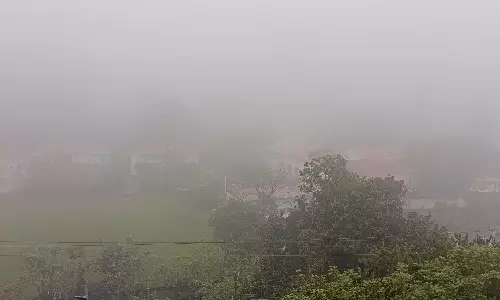 கொடைக்கானலில் கடும் பனிமூட்டத்தால் வாகன ஓட்டிகள் அவதி