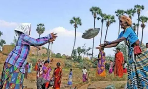 நிலக்கோட்டை : 3 மாதங்களாக சம்பளம் இன்றி தவிக்கும் 100 நாள் வேலைதிட்ட பயனாளிகள்