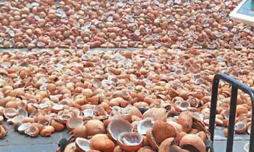 கொப்பரை கொள்முதலில் புதிதாக விவசாயிகள் பதிவு செய்யலாம்