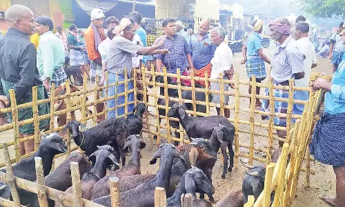 தீபாவளி நெருங்குவதையொட்டி பாவூர்சத்திரம் சந்தையில் ஆடுகள் விற்பனை அமோகம்