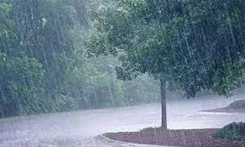 சேலம், நாமக்கல் மாவட்டங்களில் மழை நீடிப்புபெத்தநாயக்கன்பாளையத்தில் 13  மி.மீ. பதிவு