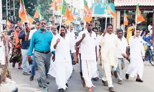 கட்சிக் கொடியுடன் பா.ஜனதா நிர்வாகிகள் கண்டன ஊர்வலம்