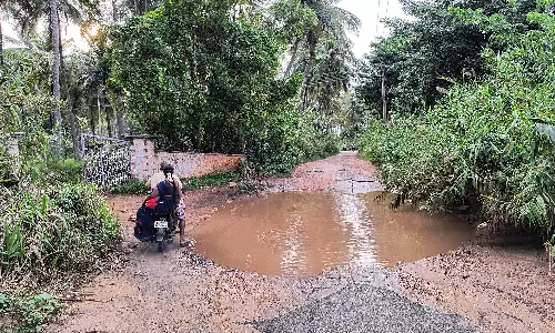 மயிலாடும்பாறை அருகே தரைப்பாலத்தில் தண்ணீர் தேங்கி தொடர் விபத்து அபாயம்