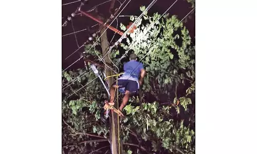 பாகூரில் இடிமின்னலும் பலத்த மழை