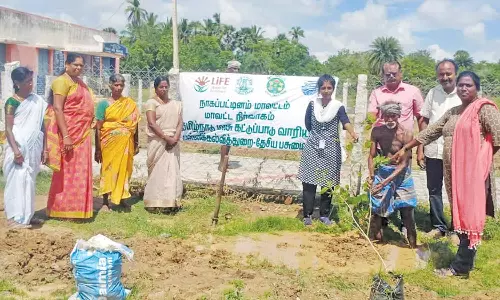 மரக்கன்று நடும் விழா