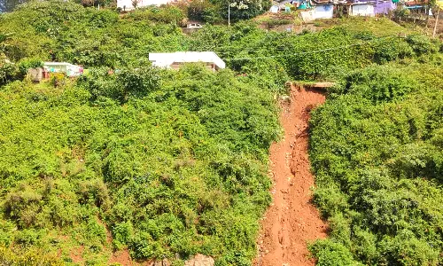 குன்னூரில் கனமழை எதிரொலி- மலைப்பாதையில் திடீர் மண்சரிவு