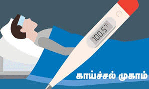 ஒவ்வொரு வாரமும் சனிக்கிழமைகளில் காய்ச்சல் தடுப்பு முகாம்