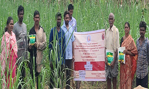 கரும்பு பூஸ்டர் செயல் விளக்கத்திடல் அமைப்பு