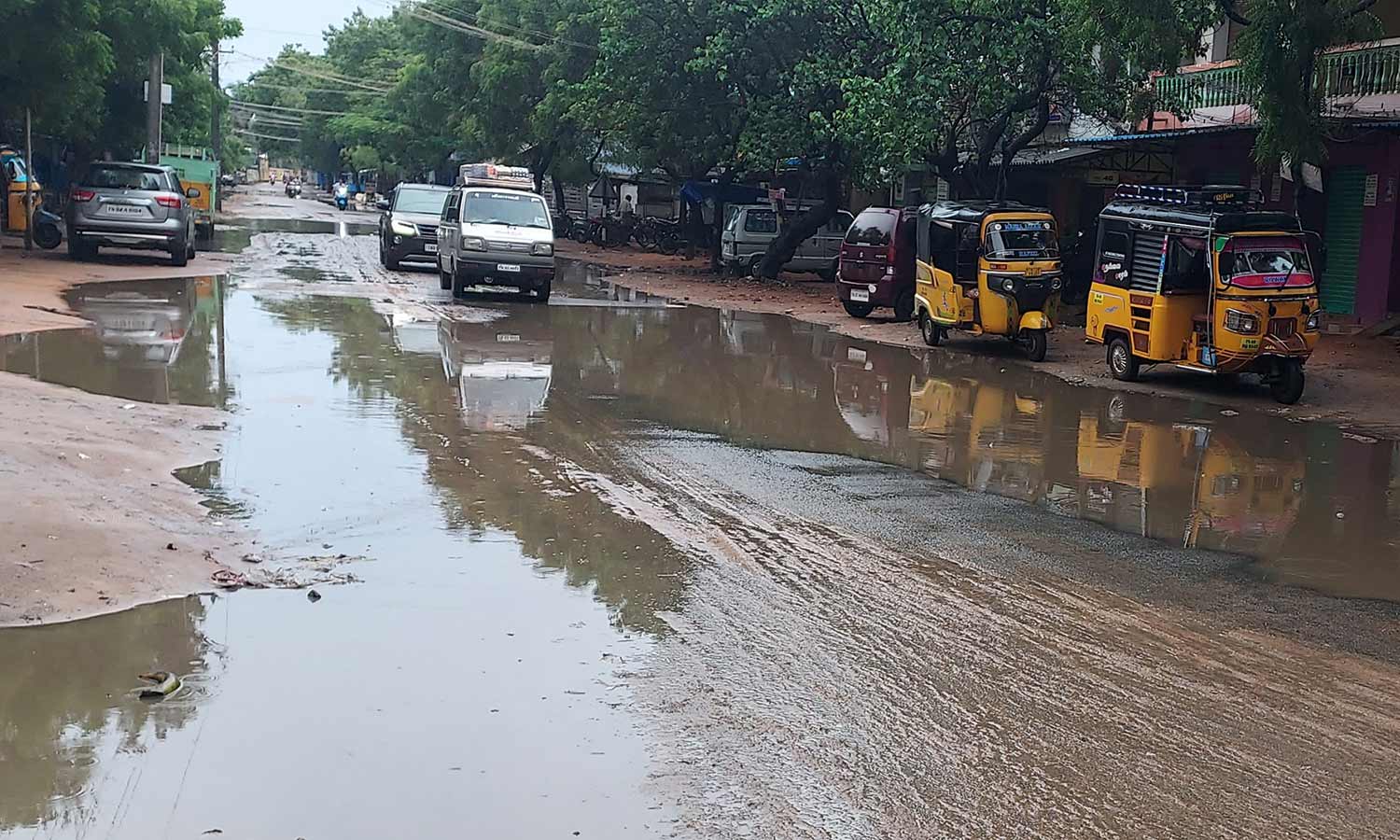 நெல்லை, தென்காசி, தூத்துக்குடியில் தொடர்மழை: சேர்வலாறு அணை நீர்மட்டம் 100 அடியை எட்டியது