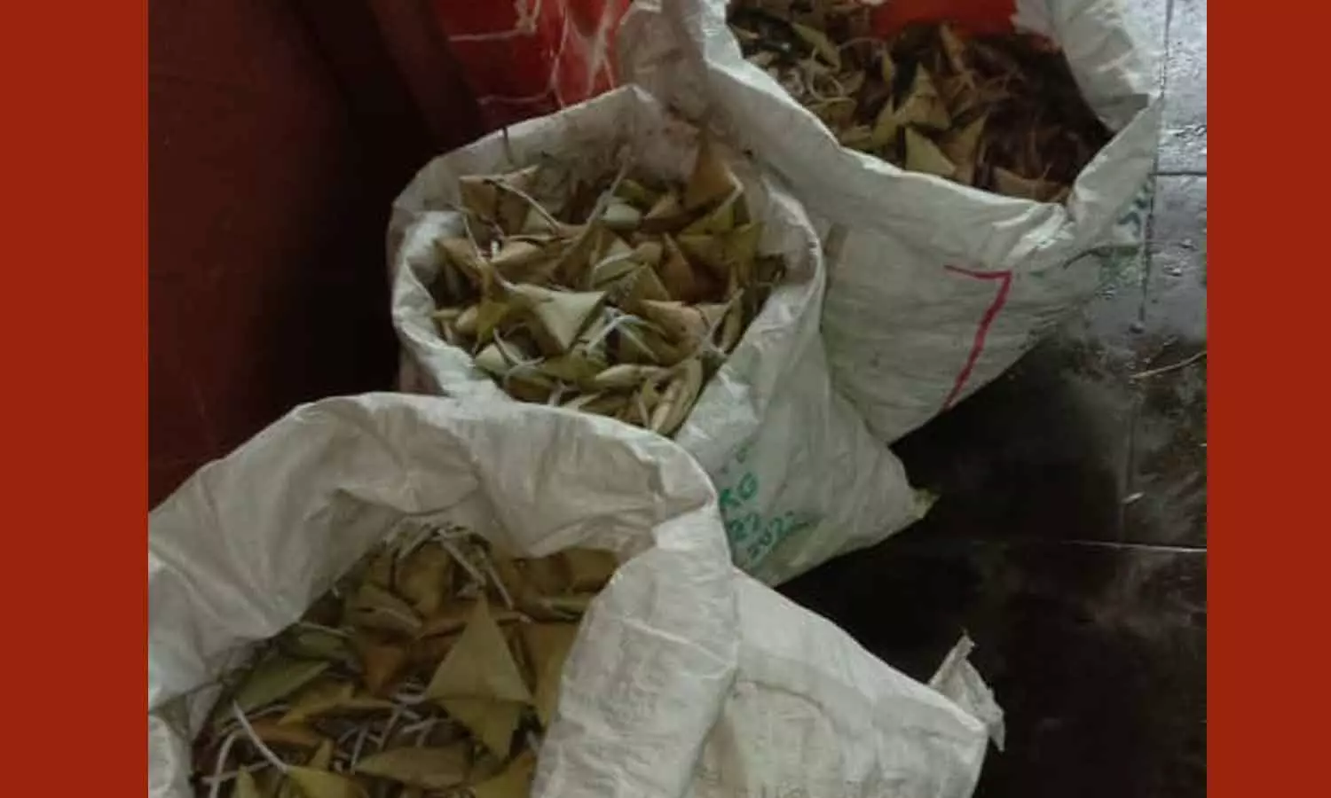 வீட்டில் அனுமதியின்றி பதுக்கி வைத்திருந்த 42 கிலோ ஓலைவெடிகள் பறிமுதல்: பெண் கைது-கணவன் மீது வழக்கு வீட்டில் அனுமதியின்றி பதுக்கி வைத்திருந்த 42 கிலோ ஓலைவெடிகள் பறிமுதல்: பெண் கைது-கணவன் மீது வழக்கு
