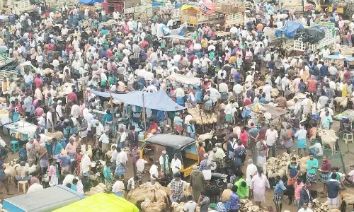 சமயபுரம் ஆட்டுச்சந்தையில் ஆடு வாங்க குவிந்த மக்கள்