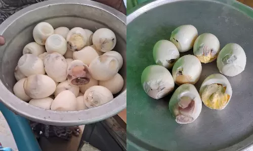 அரசு பள்ளி மாணவர்களுக்கு வழங்கப்பட்ட மதிய உணவில் 2 ஆயிரம் அழுகிய முட்டைகள்