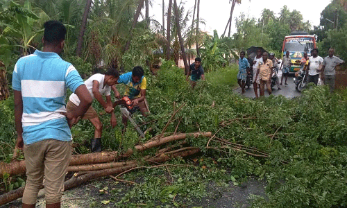 ஈரோடு மாவட்டத்தில் நள்ளிரவில் இடி-மின்னலுடன் பலத்த மழை